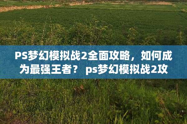 PS梦幻模拟战2全面攻略，如何成为最强王者？ ps梦幻模拟战2攻略