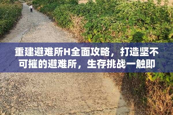 重建避难所H全面攻略，打造坚不可摧的避难所，生存挑战一触即发 重建避难所h游戏攻略