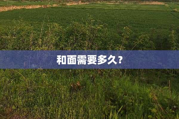 和面需要多久？