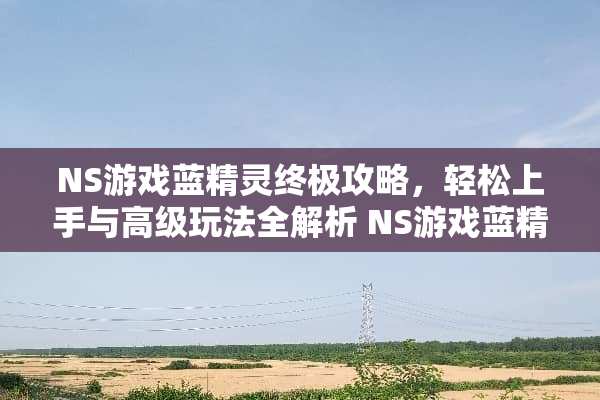 NS游戏蓝精灵终极攻略，轻松上手与高级玩法全解析 NS游戏蓝精灵攻略