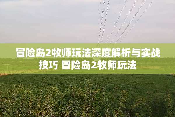 冒险岛2牧师玩法深度解析与实战技巧 冒险岛2牧师玩法