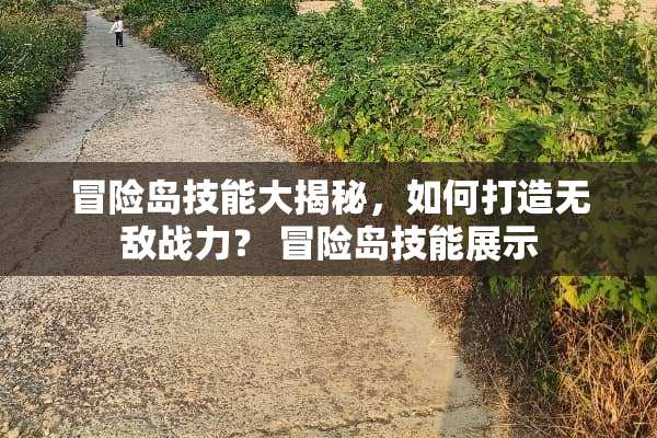 冒险岛技能大揭秘，如何打造无敌战力？ 冒险岛技能展示