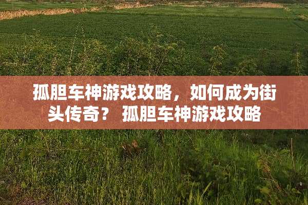 孤胆车神游戏攻略，如何成为街头传奇？ 孤胆车神游戏攻略