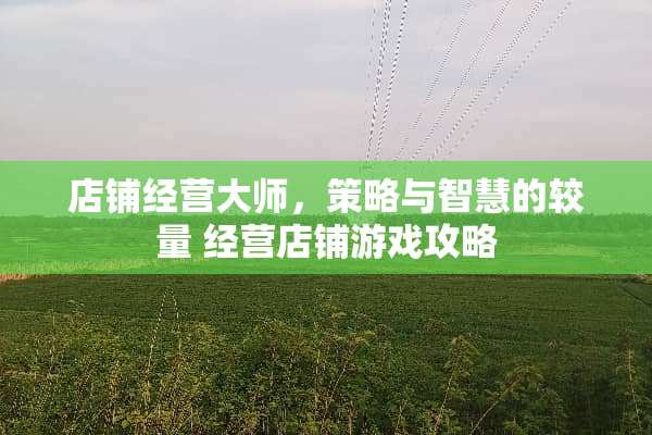 店铺经营大师，策略与智慧的较量 经营店铺游戏攻略