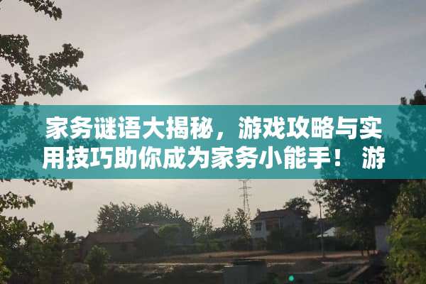 家务谜语大揭秘，游戏攻略与实用技巧助你成为家务小能手！ 游戏家务谜语攻略