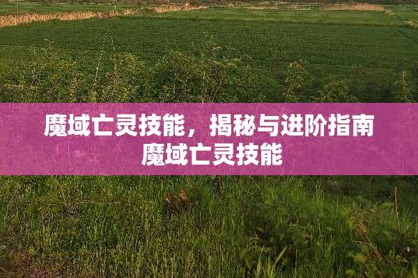 魔域亡灵技能，揭秘与进阶指南 魔域亡灵技能