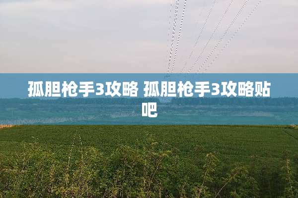 孤胆*手3攻略 孤胆*手3攻略贴吧