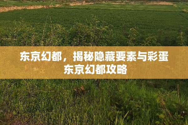 东京幻都，揭秘隐藏要素与彩蛋 东京幻都攻略