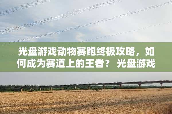光盘游戏动物赛跑终极攻略，如何成为赛道上的王者？ 光盘游戏动物赛跑攻略