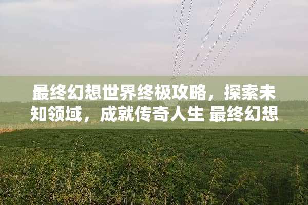 最终幻想世界终极攻略，探索未知领域，成就传奇人生 最终幻想世界攻略