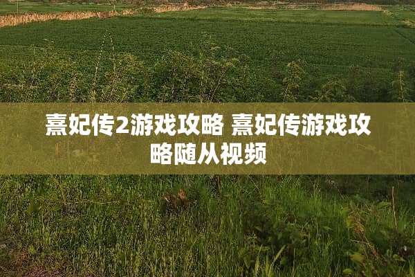 熹妃传2游戏攻略 熹妃传游戏攻略随从视频