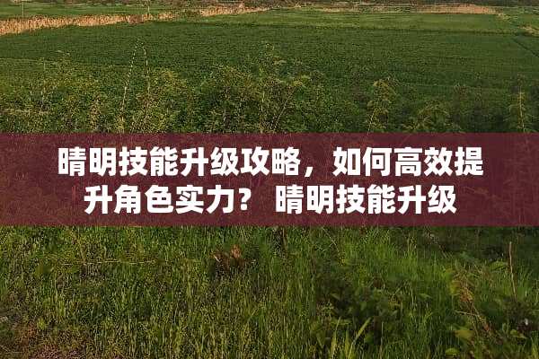 晴明技能升级攻略，如何高效提升角色实力？ 晴明技能升级