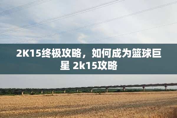2K15终极攻略，如何成为篮球巨星 2k15攻略