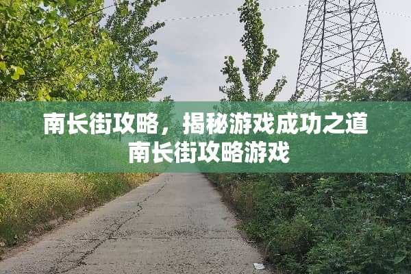 南长街攻略，揭秘游戏成功之道 南长街攻略游戏