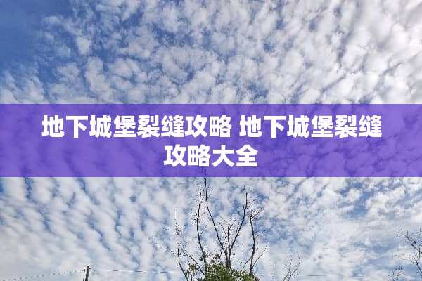 **城堡裂缝攻略 **城堡裂缝攻略大全