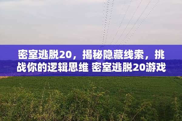 密室逃脱20，揭秘隐藏线索，挑战你的逻辑思维 密室逃脱20游戏攻略