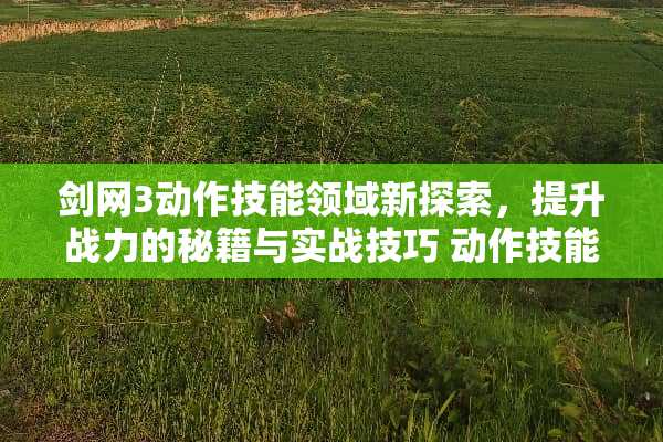 剑网3动作技能领域新探索，提升战力的秘籍与实战技巧 动作技能领域