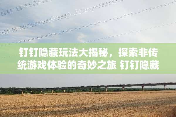 钉钉隐藏玩法大揭秘，探索非传统游戏体验的奇妙之旅 钉钉隐藏玩法
