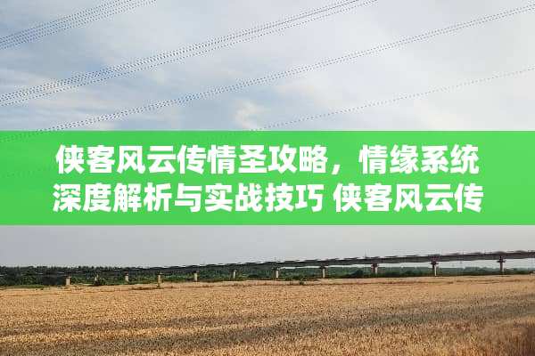 侠客风云传情圣攻略，情缘系统深度解析与实战技巧 侠客风云传情圣攻略