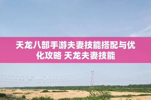 天龙八部手游夫妻技能搭配与优化攻略 天龙夫妻技能