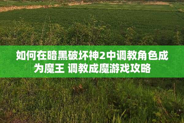 如何在暗黑破坏神2中**角色成为魔王 **成魔游戏攻略