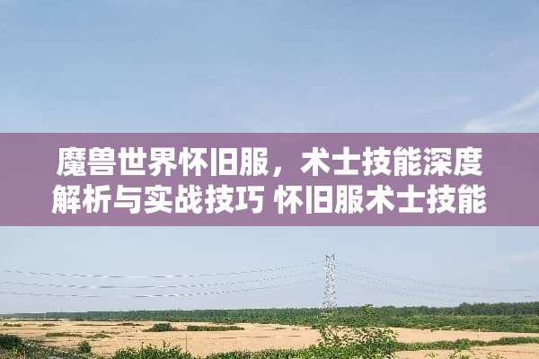魔兽世界**服，术士技能深度解析与实战技巧 **服术士技能