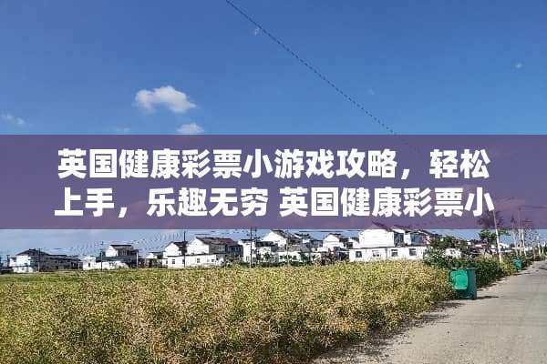 英国健康**小游戏攻略，轻松上手，乐趣无穷 英国健康**小游戏攻略