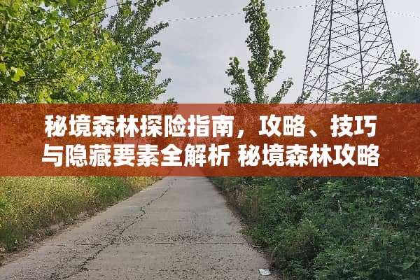 秘境森林探险指南，攻略、技巧与隐藏要素全解析 秘境森林攻略