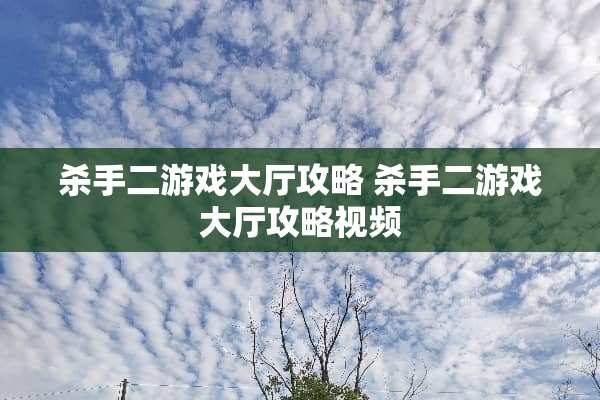 **二游戏大厅攻略 **二游戏大厅攻略视频