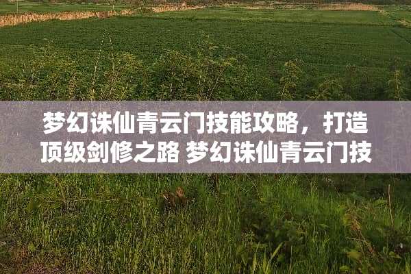 梦幻诛仙青云门技能攻略，打造**剑修之路 梦幻诛仙青云门技能