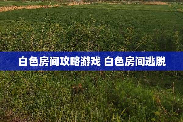 白色房间攻略游戏 白色房间逃脱