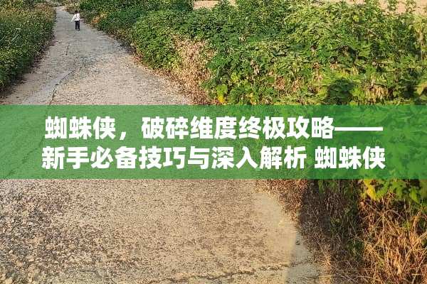 蜘蛛侠，破碎维度终极攻略——新手必备技巧与深入解析 蜘蛛侠破碎维度攻略