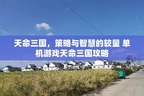 天命三国，策略与智慧的较量 单机游戏天命三国攻略