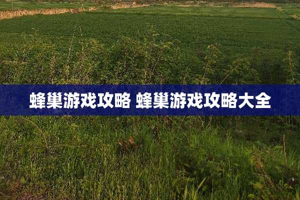 蜂巢游戏攻略 蜂巢游戏攻略大全
