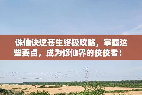 诛仙诀逆苍生终极攻略，掌握这些要点，成为修仙界的佼佼者！ 诛仙诀逆苍生攻略