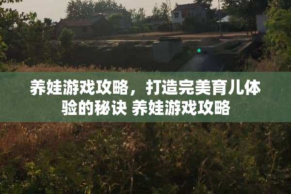 养娃游戏攻略，打造完美育儿体验的秘诀 养娃游戏攻略