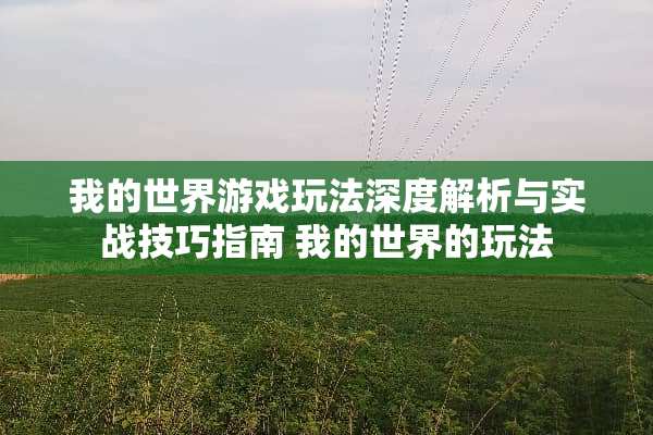 我的世界游戏玩法深度解析与实战技巧指南 我的世界的玩法