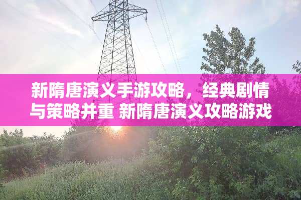 新隋唐演义手游攻略，经典剧情与策略并重 新隋唐演义攻略游戏