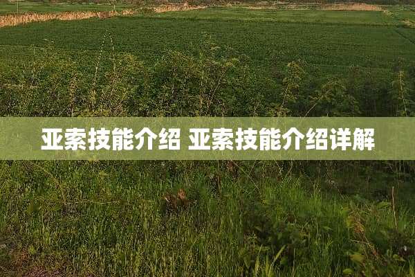 亚索技能介绍 亚索技能介绍详解