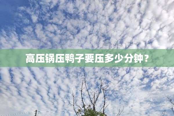 高压锅压鸭子要压多少分钟？