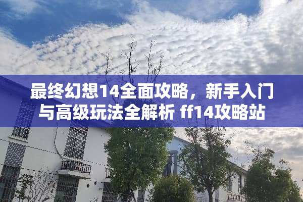 最终幻想14全面攻略，新手入门与高级玩法全解析 ff14攻略站