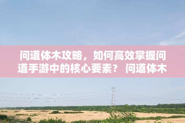 问道体木攻略，如何高效掌握问道手游中的核心要素？ 问道体木攻略