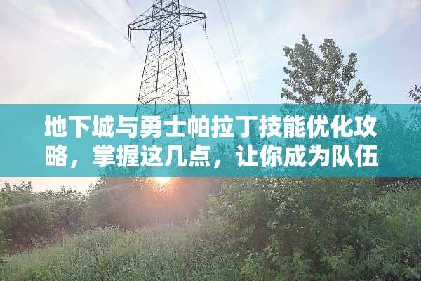 地下城与勇士帕拉丁技能优化攻略，掌握这几点，让你成为队伍中的光 dnf帕拉丁技能补丁