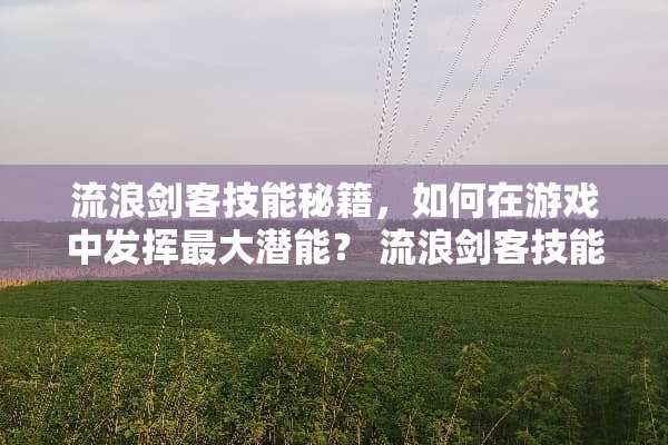 流浪剑客技能秘籍，如何在游戏中发挥最大潜能？ 流浪剑客技能