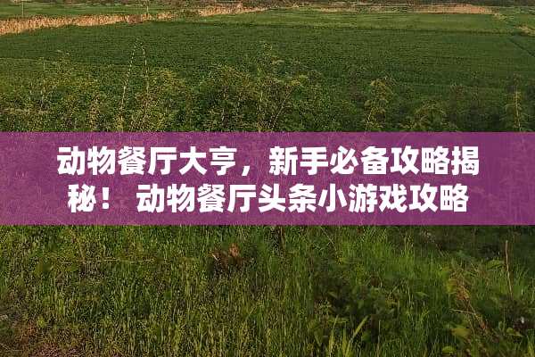 动物餐厅大亨，新手必备攻略揭秘！ 动物餐厅头条小游戏攻略