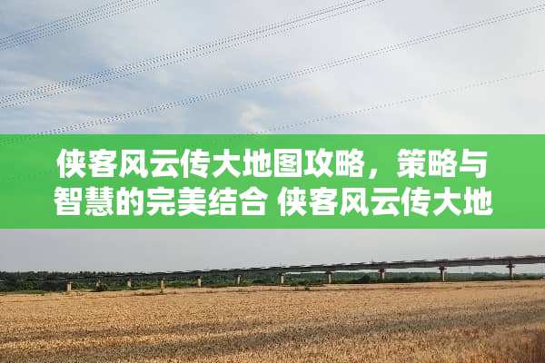 侠客风云传大地图攻略，策略与智慧的完美结合 侠客风云传大地图攻略