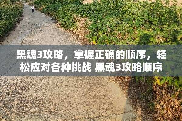 黑魂3攻略，掌握正确的顺序，轻松应对各种挑战 黑魂3攻略顺序