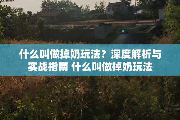 什么叫做掉奶玩法？深度解析与实战指南 什么叫做掉奶玩法