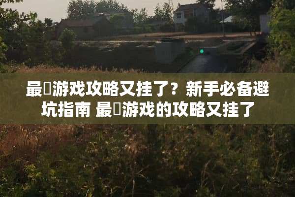 最囧游戏攻略又挂了？新手必备避坑指南 最囧游戏的攻略又挂了