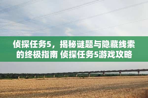 侦探任务5，揭秘谜题与隐藏线索的终极指南 侦探任务5游戏攻略